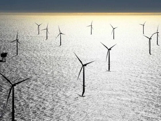 Contracts On Moray East